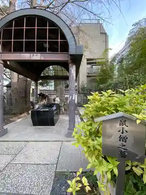 回向院の手水舎