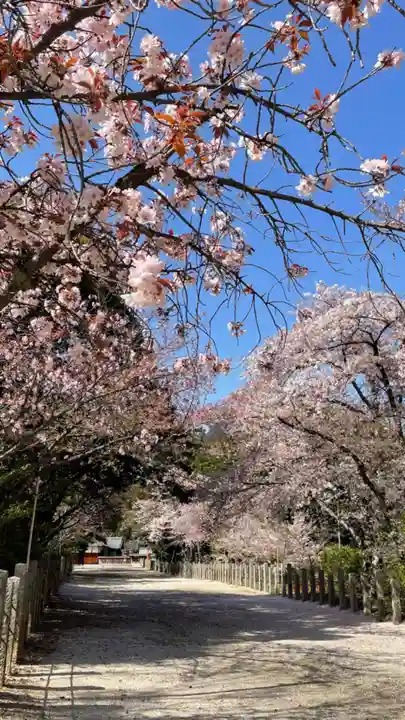 住吉神社の自然