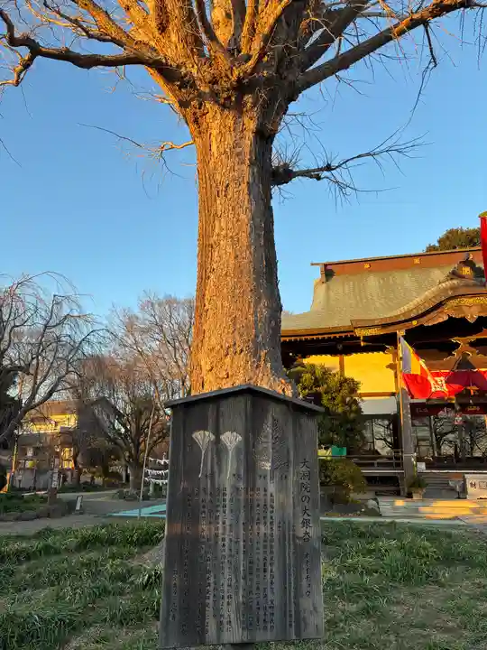 大洞院(千葉県)
