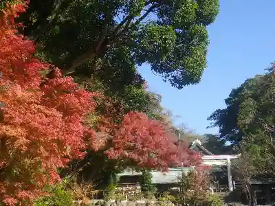 鎌倉宮のその他建物