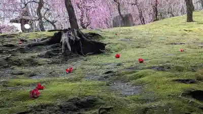 城南宮(京都府)