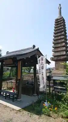 般若寺 ❁コスモス寺❁の手水舎