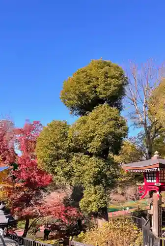 清水観音堂の庭園