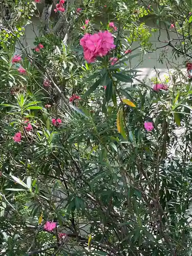 安井金比羅宮(京都府)