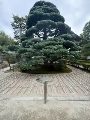 慈照寺（慈照禅寺・銀閣寺）(京都府)