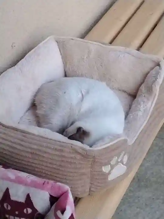 大楽院(神奈川県)