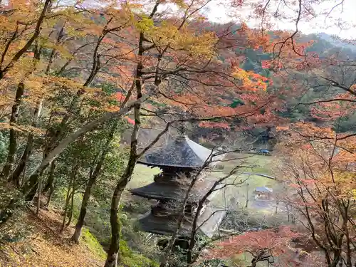 金剛院(京都府)