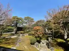 妙顯寺（妙顕寺）(京都府)