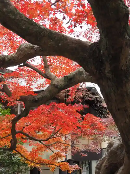鎌倉宮(神奈川県)