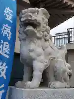 須賀神社の狛犬