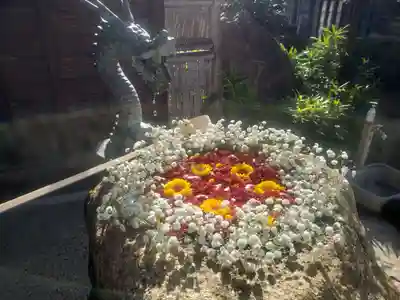 御井神社の手水舎