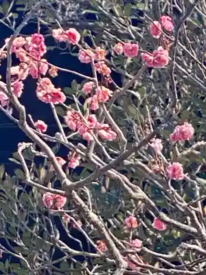 芳春院(京都府)