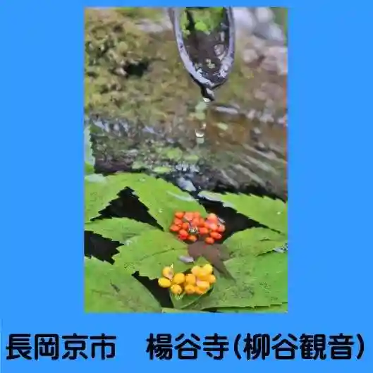 柳谷観音 楊谷寺(京都府)