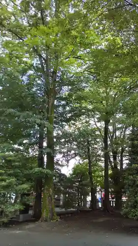 日枝神社水天宮のその他建物