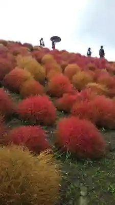 酒列磯前神社の周辺