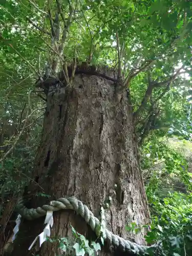 大元神社（宇佐神宮奥宮）(大分県)