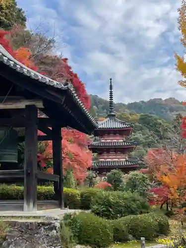 三室戸寺の建物その他