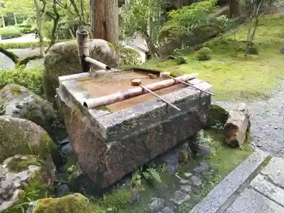 今熊野観音寺(京都府)