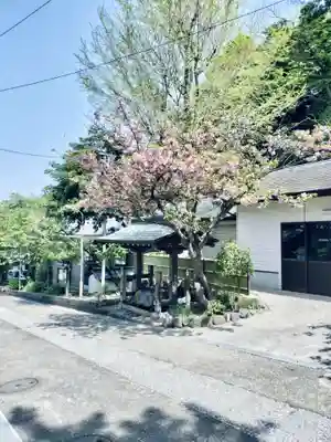 小動神社(神奈川県)