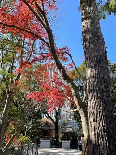 愛宕神社(東京都)