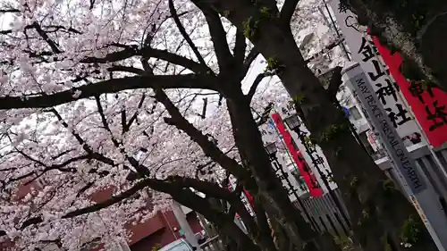 若宮八幡宮 の自然