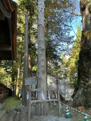 諏訪大社(長野県)