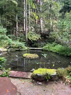 九頭竜大社(京都府)