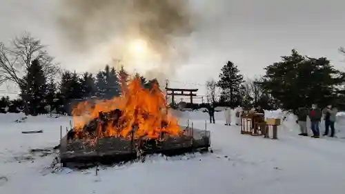 美瑛神社の体験その他