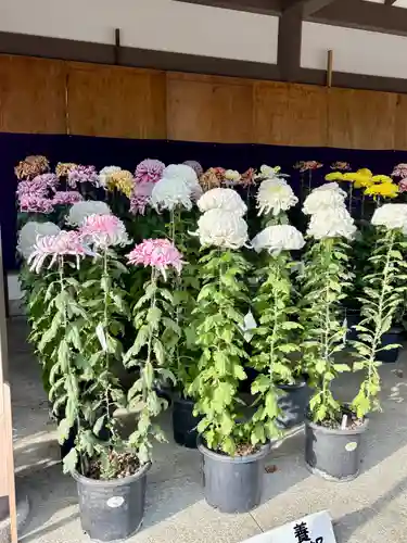 湯島天満宮(東京都)