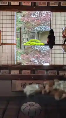 大雲寺(京都府)