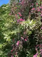 国宝 大法寺の自然