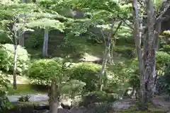 霊山寺の庭園