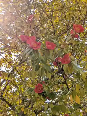 蓮華王院（三十三間堂）(京都府)