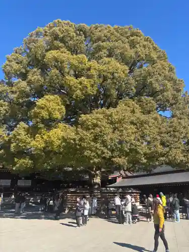 明治神宮(東京都)