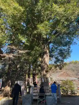 東光院(千葉県)