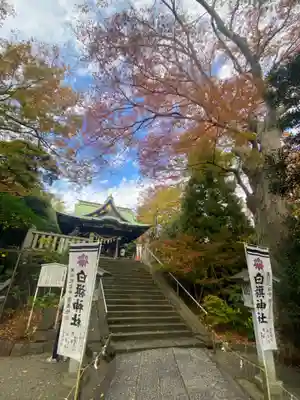 白旗神社(神奈川県)