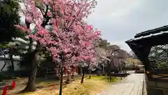 御香宮神社(京都府)