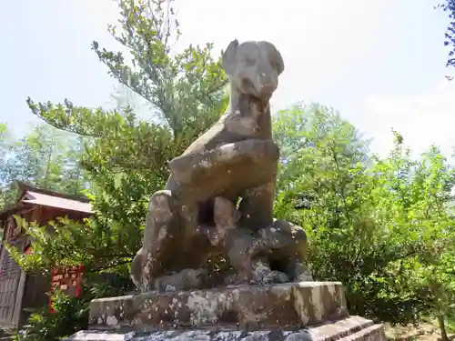 神炊館神社 ⁂奥州須賀川総鎮守⁂の狛犬