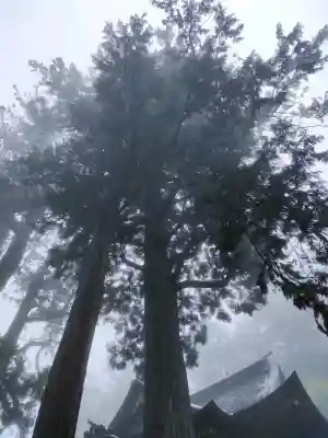 三峯神社の{uncategorized: "未分類", other: "その他", undefined: "問題あり", building: "その他建物", grave: "お墓", sacred_gate: "鳥居", guardian: "狛犬", statue: "像", buddha: "仏像", history: "歴史", nature: "自然", garden: "庭園", animal: "動物", pagoda: "塔", temizu: "手水舎", mountain_gate: "山門・神門", sanctuary: "本殿・本堂", subordinate: "末社・摂社", art: "芸術", scenery: "景色", jizo: "地蔵", ema: "絵馬", goshuin: "御朱印", omikuji: "おみくじ", items: "授与品その他", amulet: "お守り", goshuincho: "御朱印帳", eats: "食事", festival: "お祭り", votive_dance: "神楽", shichigosan: "七五三参", wedding: "結婚式", experience: "体験その他", initially: "初詣", around: "周辺", anti_infection: "感染症対策"}