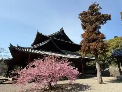 粉河寺の{uncategorized: "未分類", other: "その他", undefined: "問題あり", building: "その他建物", grave: "お墓", sacred_gate: "鳥居", guardian: "狛犬", statue: "像", buddha: "仏像", history: "歴史", nature: "自然", garden: "庭園", animal: "動物", pagoda: "塔", temizu: "手水舎", mountain_gate: "山門・神門", sanctuary: "本殿・本堂", subordinate: "末社・摂社", art: "芸術", scenery: "景色", jizo: "地蔵", ema: "絵馬", goshuin: "御朱印", omikuji: "おみくじ", items: "授与品その他", amulet: "お守り", goshuincho: "御朱印帳", eats: "食事", festival: "お祭り", votive_dance: "神楽", shichigosan: "七五三参", wedding: "結婚式", experience: "体験その他", initially: "初詣", around: "周辺", anti_infection: "感染症対策"}