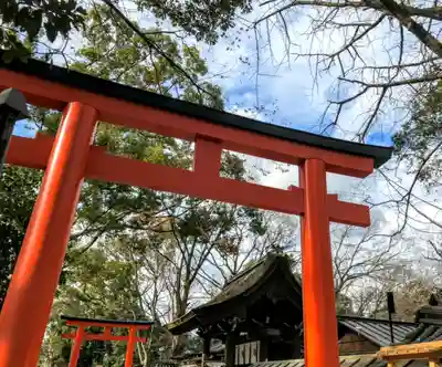 河合神社(鴨川合坐小社宅神社)の鳥居
