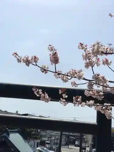 浦河神社の自然