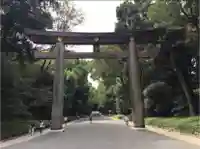 明治神宮の鳥居