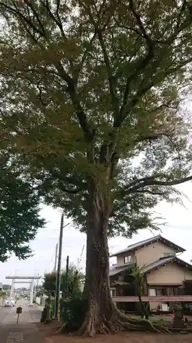 鹿島神社（津田）(茨城県)