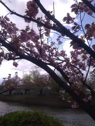 福岡縣護國神社(福岡県)
