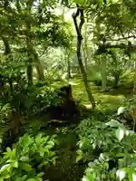 祇王寺(京都府)