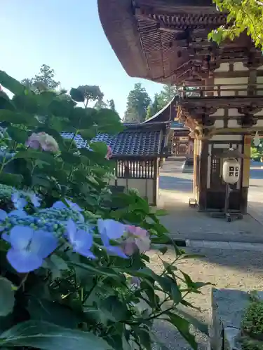 沙沙貴神社の建物その他