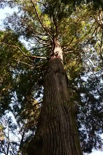 槵觸神社(宮崎県)