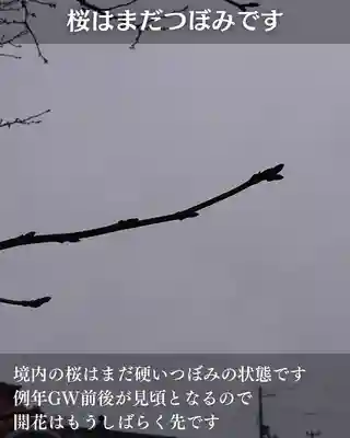 宝光寺(北海道)