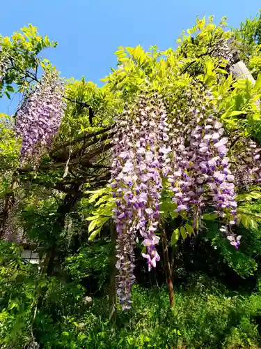 神炊館神社 ⁂奥州須賀川総鎮守⁂の周辺